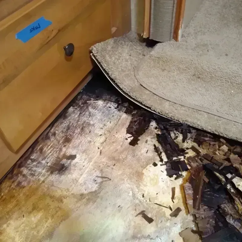 Wood Floor Water Damage in Clay County, FL